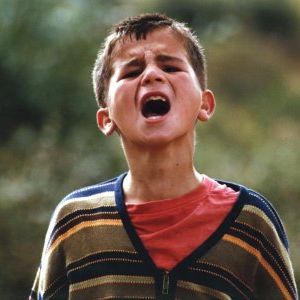 Foto Tartarugas Podem Voar