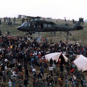 Foto Tartarugas Podem Voar