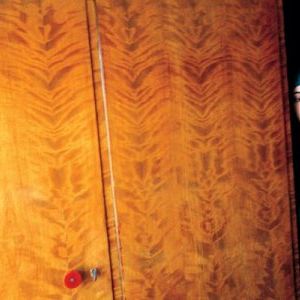 Foto Violação de Domicílio