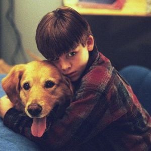 Foto Bud, O Cão Amigo