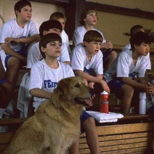 Foto Bud, O Cão Amigo