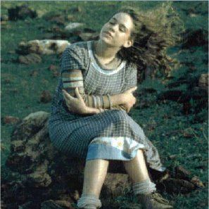 Foto A Ostra e o Vento