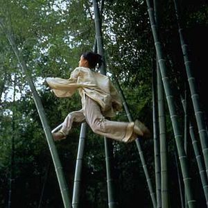 Foto O Tigre e o Dragão