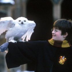 Foto Harry Potter e a Pedra Filosofal