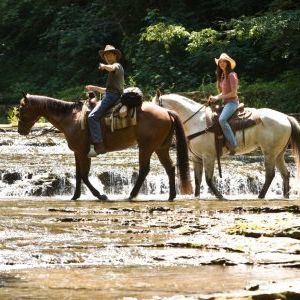 Foto Hannah Montana - O Filme