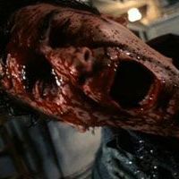 Foto Uma Noite Alucinante 2