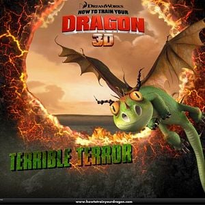 Foto Como Treinar o seu Dragão