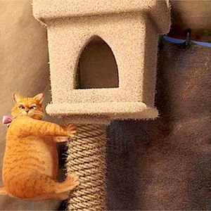 Foto Shrek para Sempre