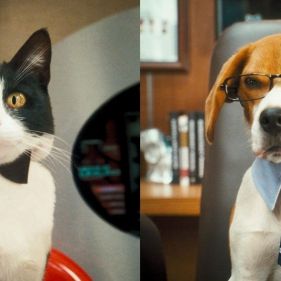 Foto Como Cães e Gatos 2 - A Vingança de Kitty Galore