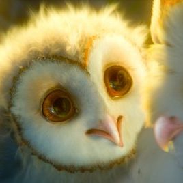 Foto A Lenda dos Guardiões