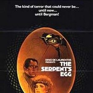 Foto O Ovo da Serpente