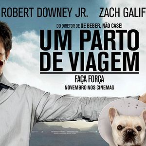 Foto Um Parto de Viagem