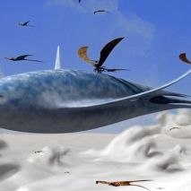 Foto Batalha por T.E.R.A.