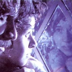 Foto Um Céu de Estrelas