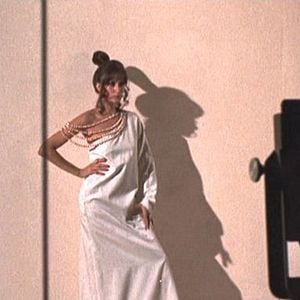 Foto Tudo o que Você Sempre Quis Saber Sobre Sexo Mas Tinha Medo de Perguntar