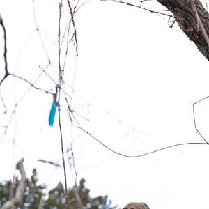 Foto Inverno da Alma