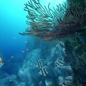 Foto As Aventuras de Sammy