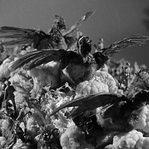 Foto O Retrato de Dorian Gray