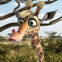 Foto Animais Unidos Jamais Serão Vencidos