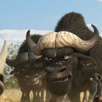 Foto Animais Unidos Jamais Serão Vencidos