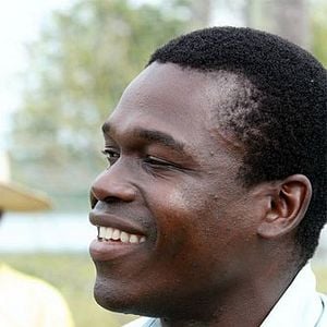 Foto O Último Voo do Flamingo