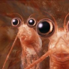 Foto Happy Feet 2 - O Pinguim