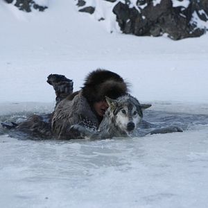 Foto Loup - Uma Amizade para Sempre
