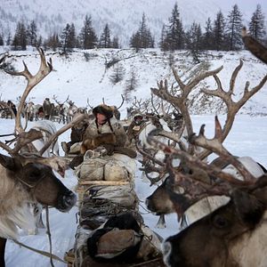 Foto Loup - Uma Amizade para Sempre