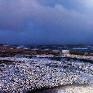 Foto Loup - Uma Amizade para Sempre