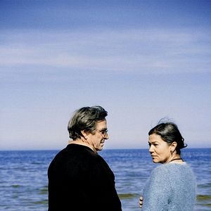 Foto Hanami - Cerejeiras em Flor