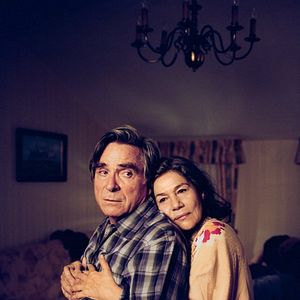 Foto Hanami - Cerejeiras em Flor