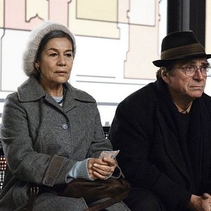 Foto Hanami - Cerejeiras em Flor