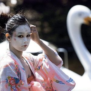 Foto Hanami - Cerejeiras em Flor