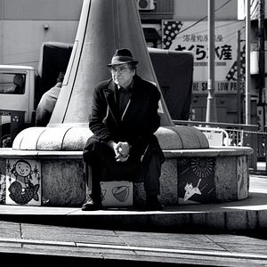 Foto Hanami - Cerejeiras em Flor