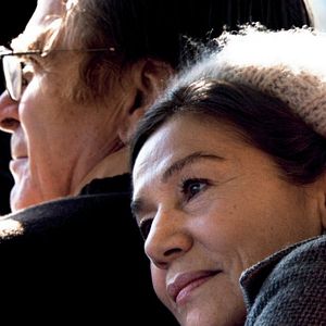 Foto Hanami - Cerejeiras em Flor