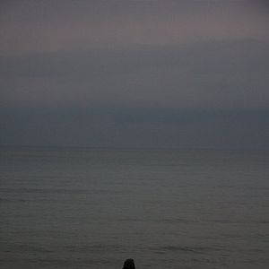 Foto Procurando Elly