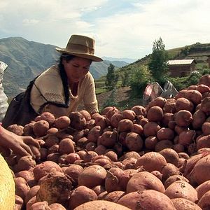 Foto De Panelas e Sonhos