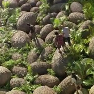 Foto Viagem 2 - A Ilha Misteriosa