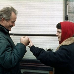 Foto Adorável Pivellina