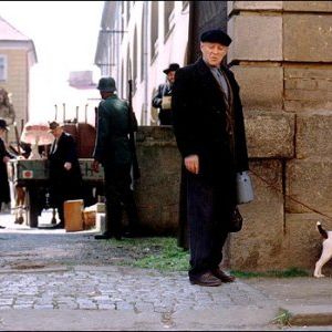 Foto Herói Acidental