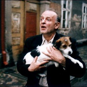 Foto Herói Acidental