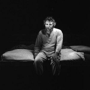 Foto O Cavalo de Turim