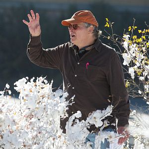 Foto Querido Companheiro