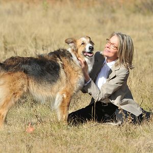 Foto Querido Companheiro