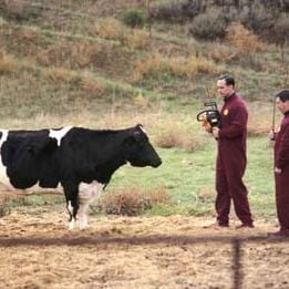 Foto Alienados do Espaço