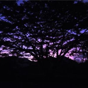 Foto A Casa de Sandro