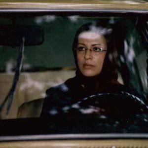 Foto Entre Luzes e Sombras