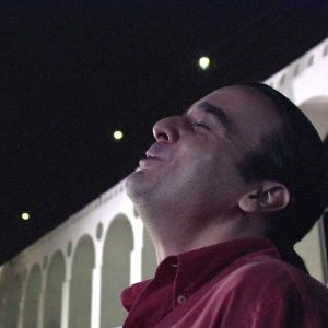 Foto Gatão de Meia Idade