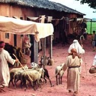 Foto Maria - Mãe do Filho de Deus