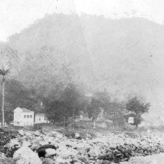 Foto Raízes do Brasil